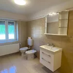 Patak-parti Vendeghaz Apartment *